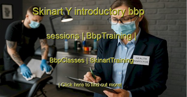 Skinart Y introductory bbp sessions | BbpTraining | BbpClasses | SkinartTraining-France
